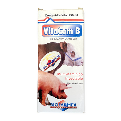 VitaCom B 250 ML